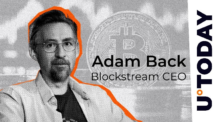 cypherpunk cited by Satoshi encourages musk to pivot to bitcoin