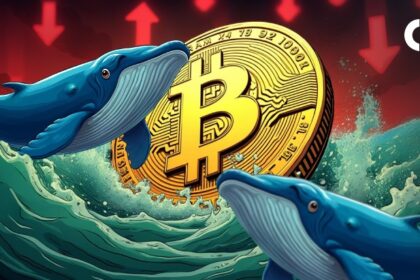Bitcoin is immersed in geopolitical news, but on-chain data shows whales are buying