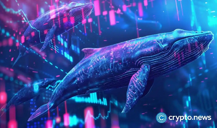 James Wynn's sidewallet reportedly dumping a massive Moonpig supply