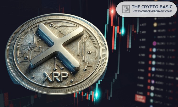 Experts say that most people are putting zero things XRP is trying to do. Holding 1,000XRP could be something like holding 500 BTC