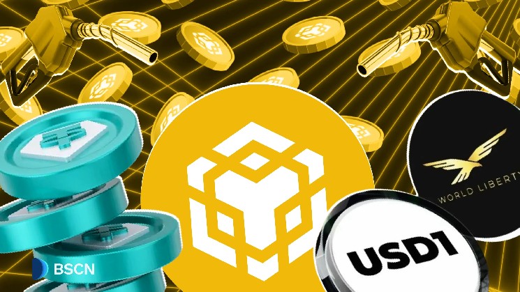 BNB Chain Leads in Stablecoin Activity with Gas Free Transfers Extended