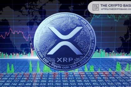 This is the amount of XRP you need to become the top 10% holder now