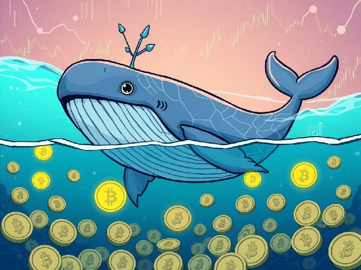 High Liquid Whale Unleashes a Bold $65.14 Million Hong Wosition