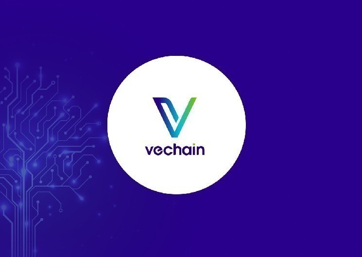Vechain is approaching Stargate activation - what it means to staking, governance and community engagement