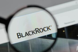 This code is currently the third largest holding in BlackRock.