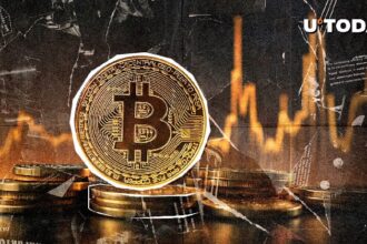 Bitcoin flashed excessive signals. Has the long-awaited bounce arrived?