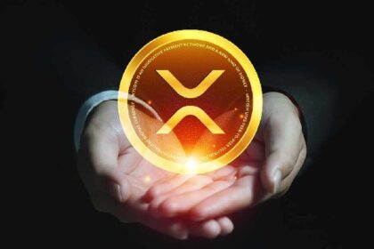 XRP strategy will be strengthened as Webus secures a $100 million equity line deal