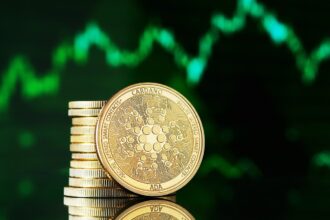 bitcoin cryptocurrency btc king