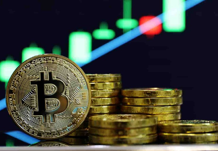 Currently, all Bitcoin holders are profitable and losses are 0%