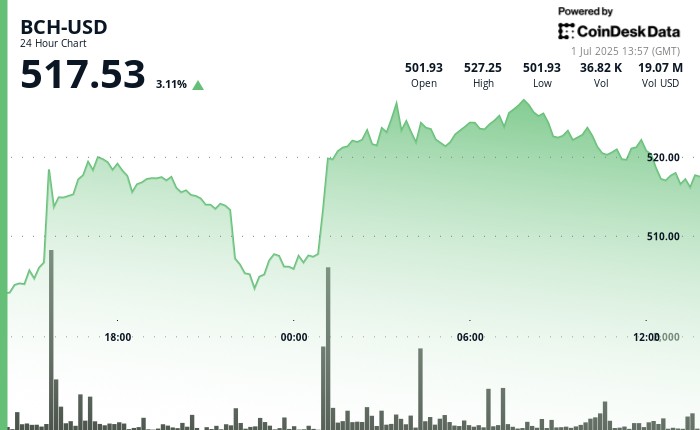 Bitcoin Cash Surge 5%, removes bullish golden cross against BTC