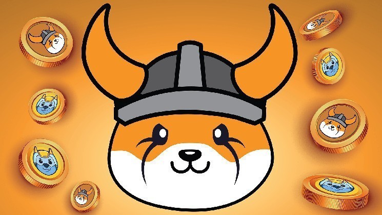 Floki inu will be Europe's first mica-compliant token