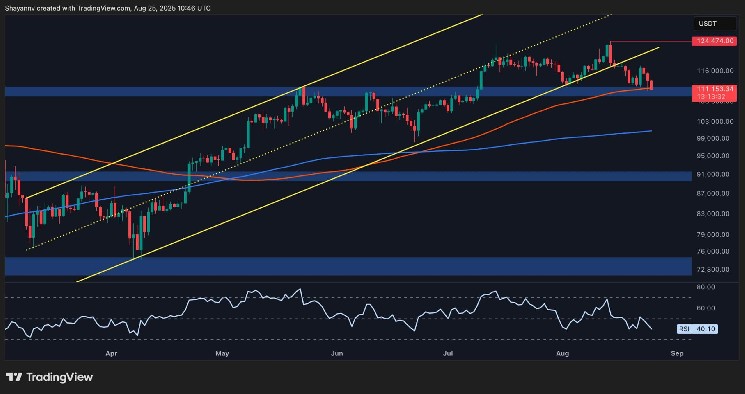 BTC at critical points of Bull Run continuation