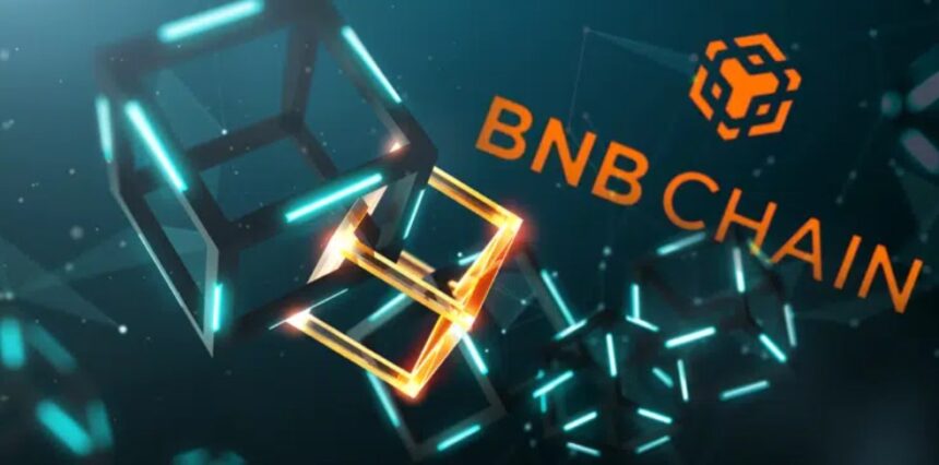 Crowds have fallen in love with BNB Chain, the network created by Binance