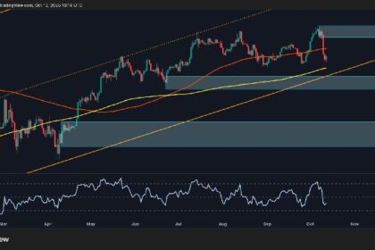 Is BTC's momentum trending bearish after the crash?