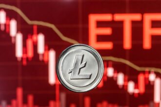 Litecoin Disappoints on Wall Street and Has a Lesson for Us