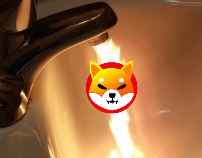 Shiba Inu SHIB Burn