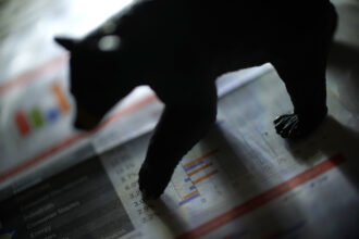 Why This Bitcoin Bear Market Is The Worst Ever: CryptoQuant Researchers